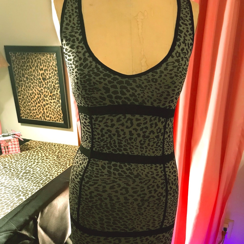 Arden B Fitted Dress